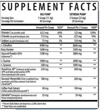 Axe & Sledge Hydraulic2 Advanced Pre Entreno 20/40 Servicios Informacion nutricional