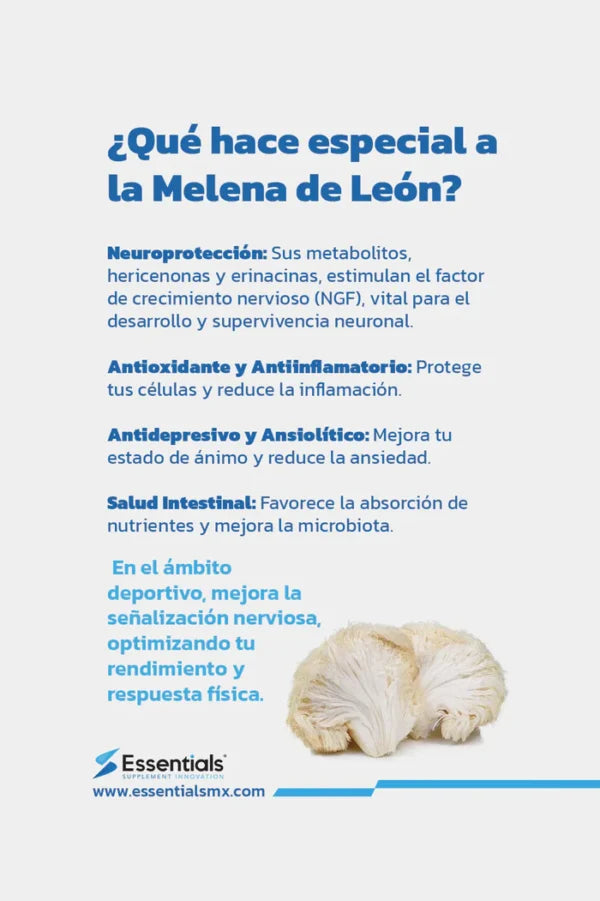 Essentials Melena de León 50% 60 Capsulas 30 Servicios informacion nutricional 2