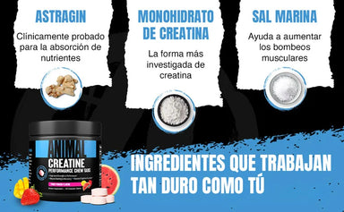 Universal Animal Chews Creatina 120 Capsulas informacion nutricional 2