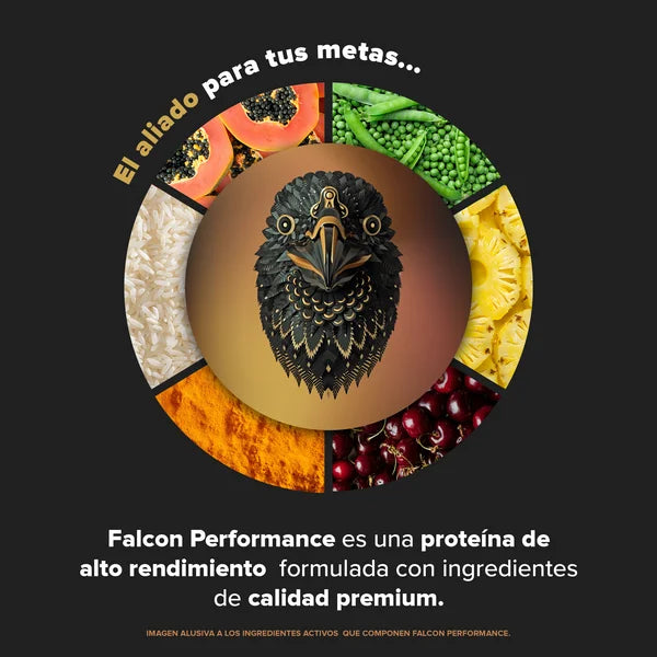Birdman Proteina Falcon Performance Bolsa 1.9kg portada 2