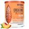 Birdman Creatina Electrolyte 300gr golden peach durazno